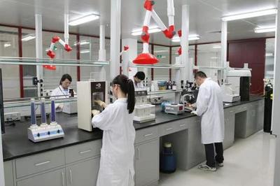 生物医药看滨海 | 凯莱英医药集团 创新驱动，与新区共筑健康未来